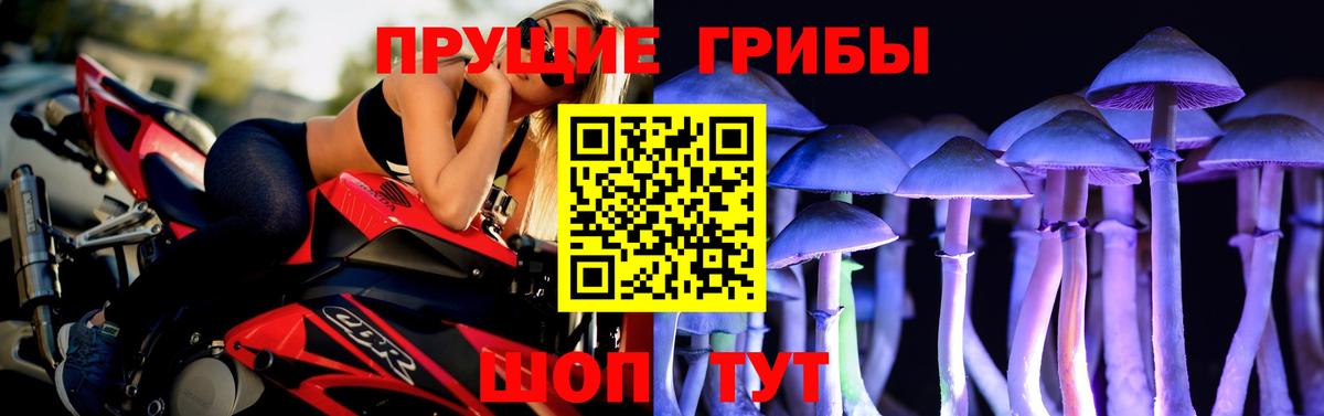 Галлюциногенные грибы мицелий  сколько стоит  Нововоронеж  Вход с VPN 